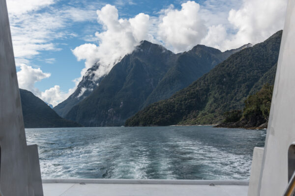 Croisière à Milford Sound