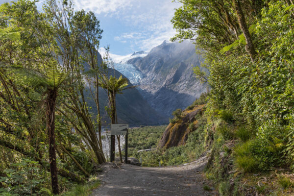 Franz Josef Glacier en Nouvelle-Zélande