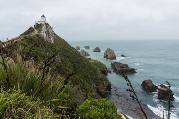 Nugget Point au sud de la Nouvelle-Zélande