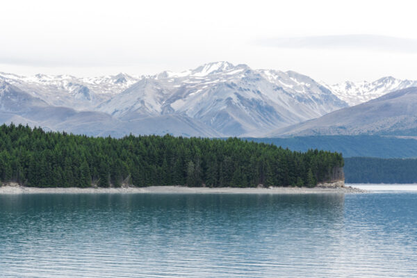 Pukaki Lake et Mont Cook