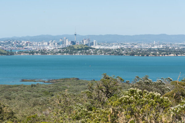 Sky Tower d'Auckland depuis Rangitoto Island