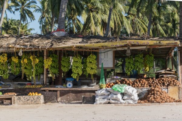 Stands de vente de noix de coco à Salalah