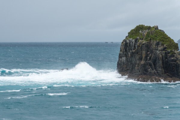 Traversée en ferry île du nord à île du sud en Nouvelle-Zélande