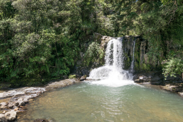 Waiau Falls à Coromandel