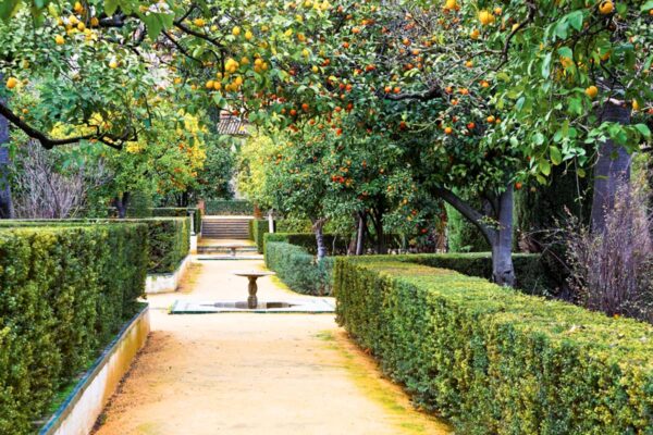 Jardins de l'Alcazar de Séville