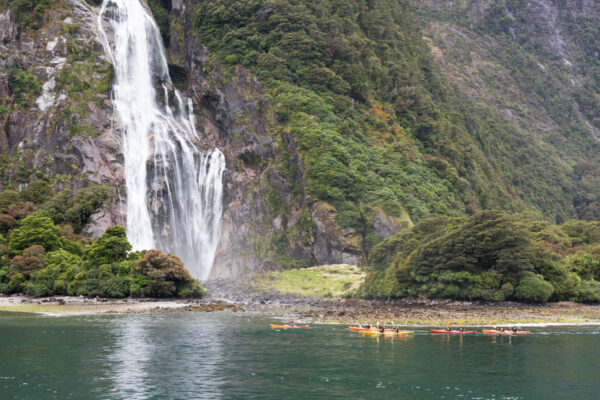 Kayak à Milford Sound