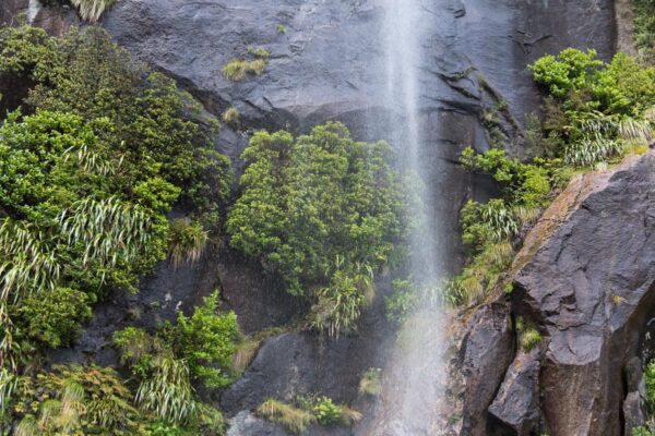 Meilleur croisière à Milford Sound