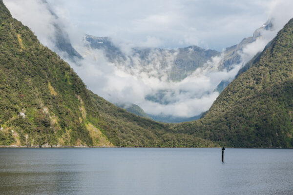 Météo à Milford Sound