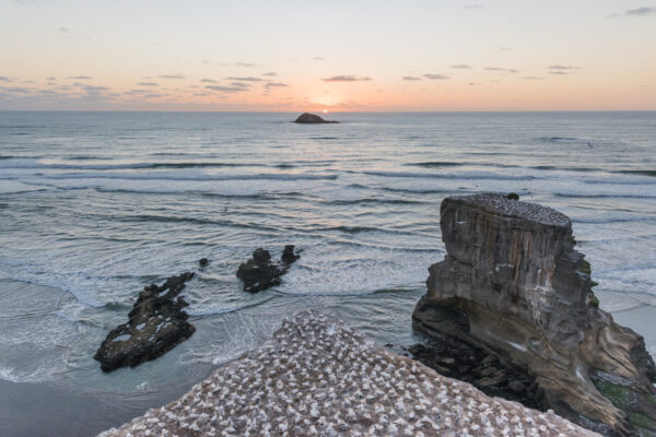 Coucher de soleil à Muriwai, à une heure d'Auckland