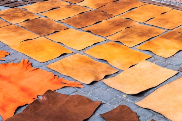 Que faire à Marrakech : visite des tanneries