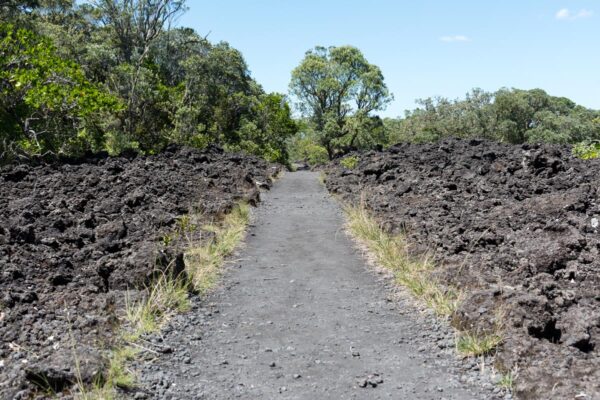 Rangitoto Island