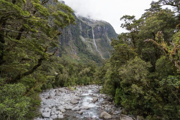 Route de Te Anau à Milford Sound