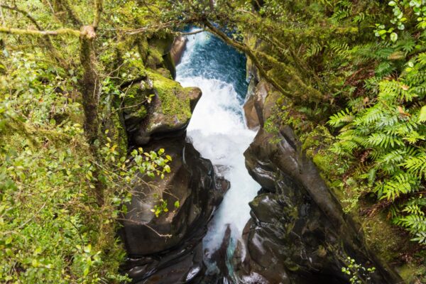 The Chasm Falls à Milford Sound