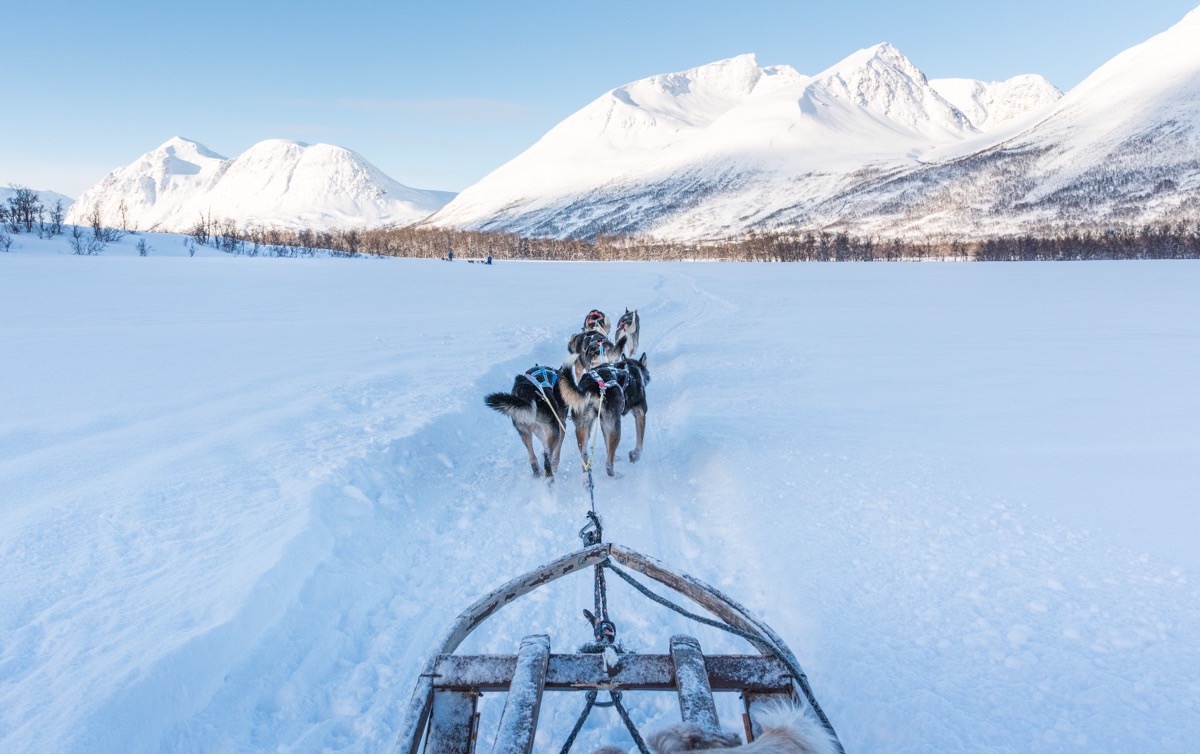 Activité à Tromso