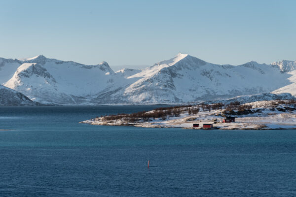 Excursion bateau à Tromso