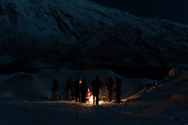 Excursion depuis Tromso : observation des aurores boréales