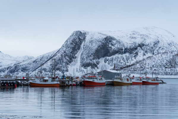 Port de Tromvik