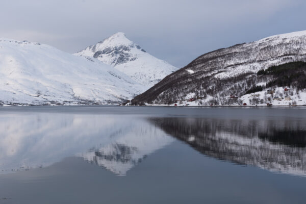 Sortie bateau à Tromso