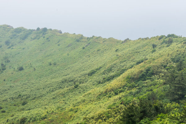 Cratère du Seongsan Ilchulbong