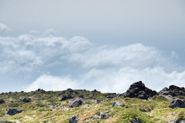 Hallasan National Park - Jeju