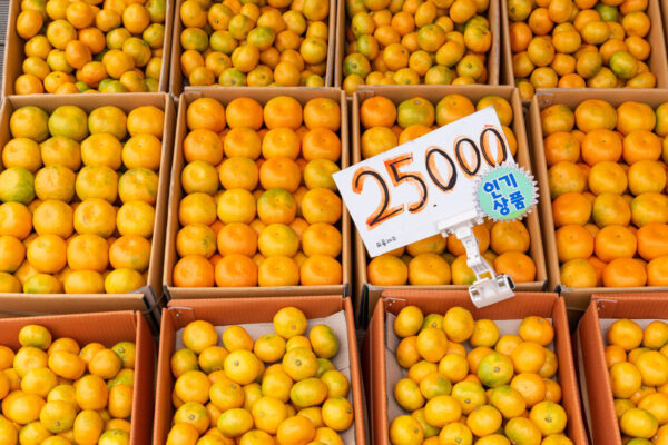 Mandarine et orange de l'île de Jeju