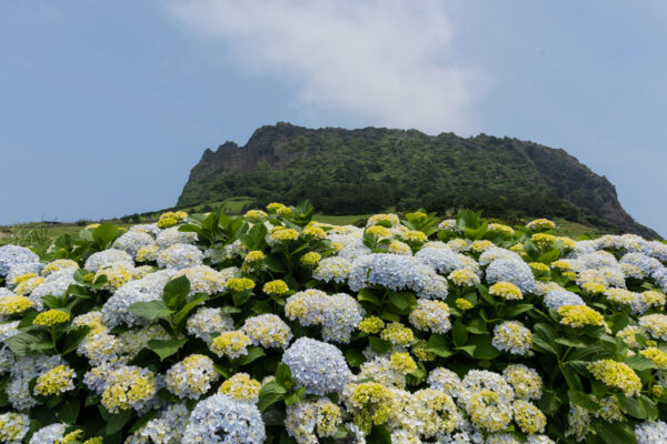 Seongsan Ilchulbong à Jeju