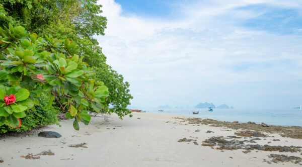 Arrêt sur l'île Naka dans la baie de Phang Nga