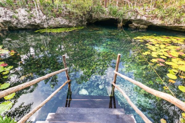 Cénote à Tulum