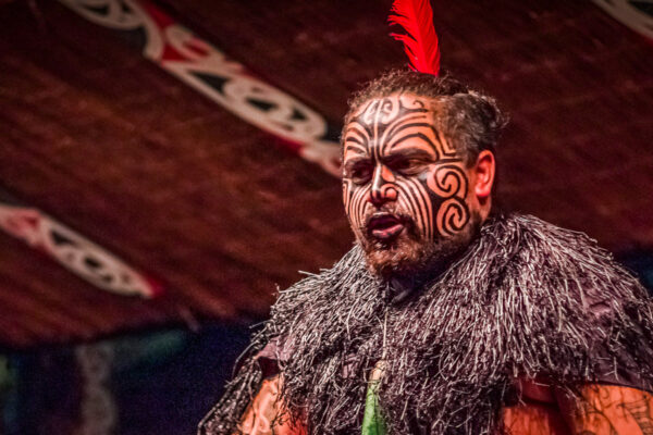 Visiter Rotorua : dîner spectacle maori