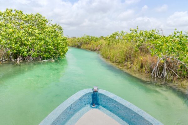 Excursion à Sian Ka'an depuis Tulum