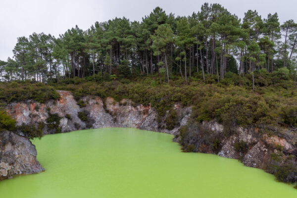 Lac dans la zone géothermique de Wai-O-Tapu à Rotorua