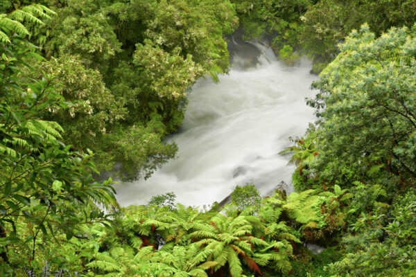 Okere Falls à Rotorua