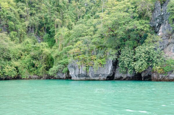 Piton rocheux et mangrove dans la baie de Phang Nga