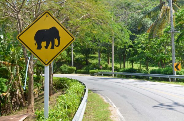 Se déplacer à Phuket