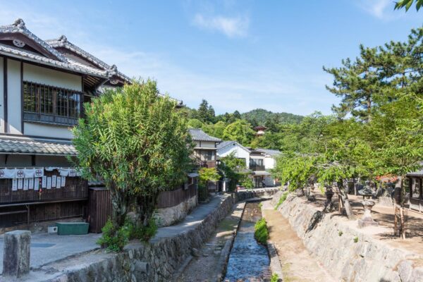 Balade sur l'île de Miyajima au Japon