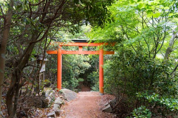 Randonnée à Miyajima