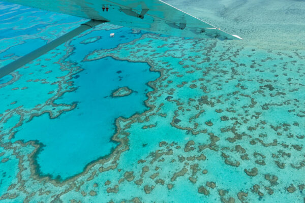 Great Barrier Reef depuis Cairns