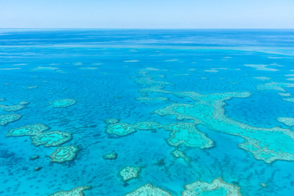 Comment visiter la grande barrière de corail