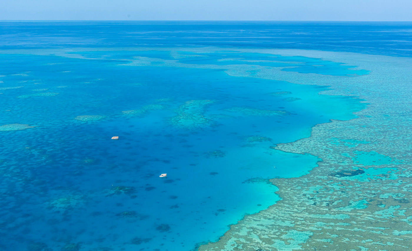 grande barrière de corail