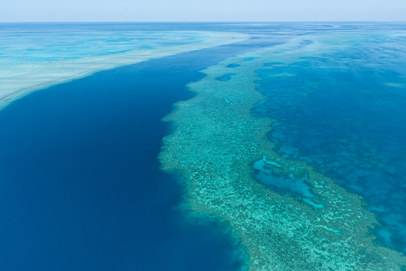 decouverte de la grande barriere de corail australienne