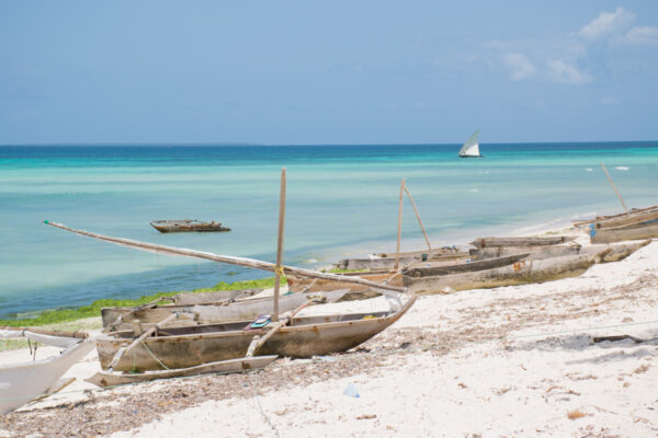 Plage de Kizimkazi