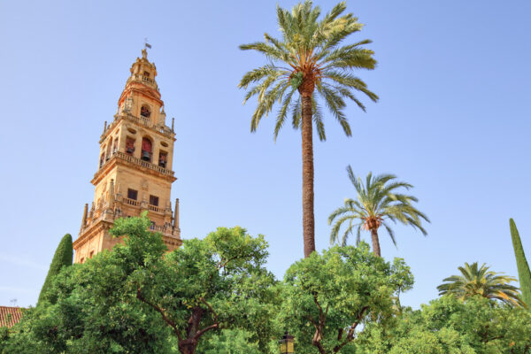 Mosquée-cathédrale de Cordoue