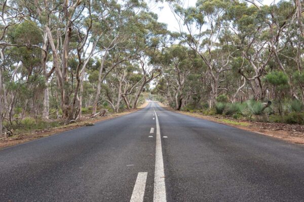 Van et camping-car en Australie