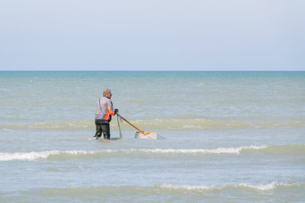 Pêche à pied en baie de Somme