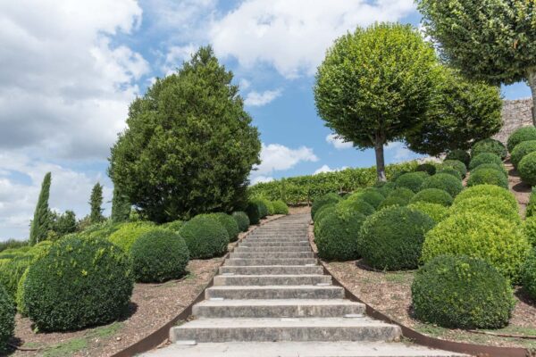 Jardin du château royal d'Amboise