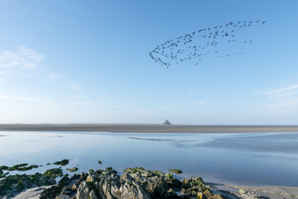 Quand aller visiter le Mont Saint Michel