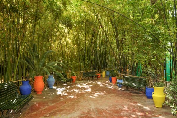 Bambouseraie du jardin Majorelle