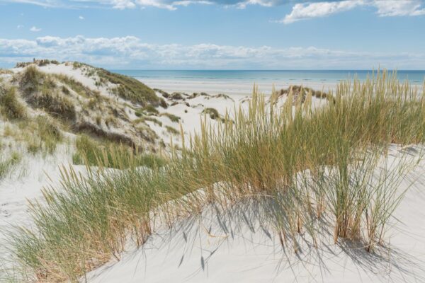 Dunes en baie de Somme