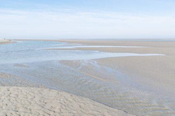 Pointe du Hourdel à marée basse, lieu d'observation des phoques