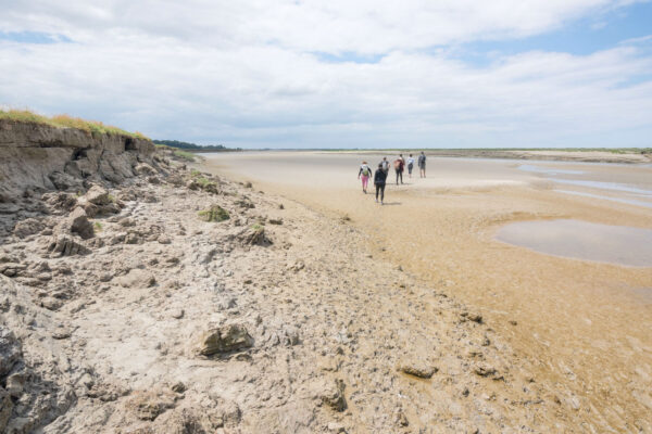 Randonnée en baie de Somme